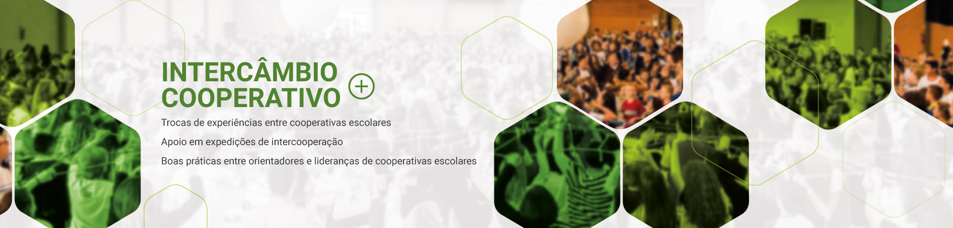 Interc�mbio Cooperativo