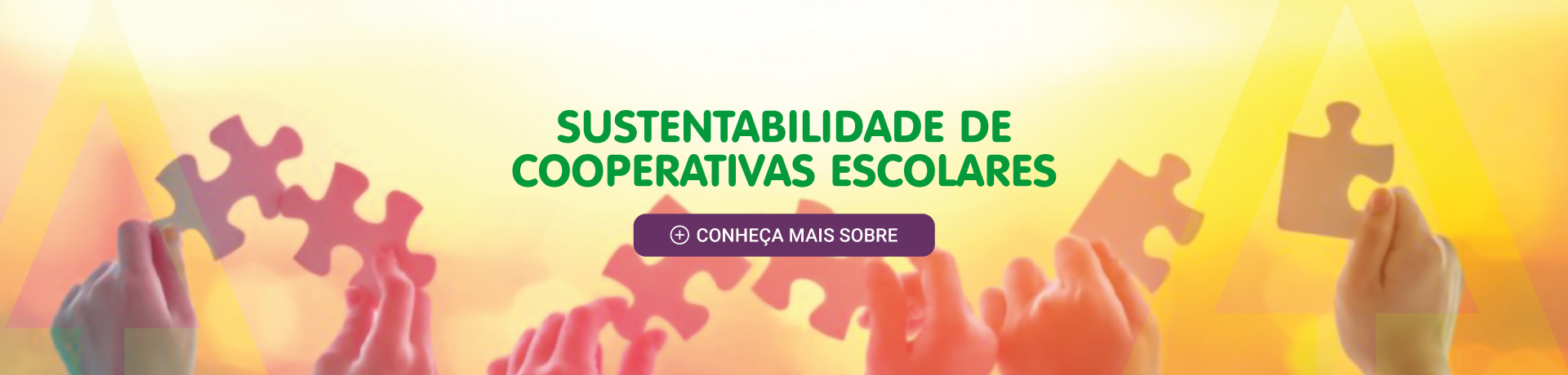 Sustentabilidade de cooperativas escolares